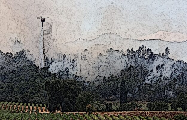BATTERI, CALIFORNIA, GUAIACOLO, INCENDI, NAPA VALLEY, Mondo