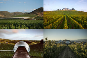 Vik, in Cile, è la “The World’s Best Vineyard”. Ceretto la migliore cantina italiana, al n. 19