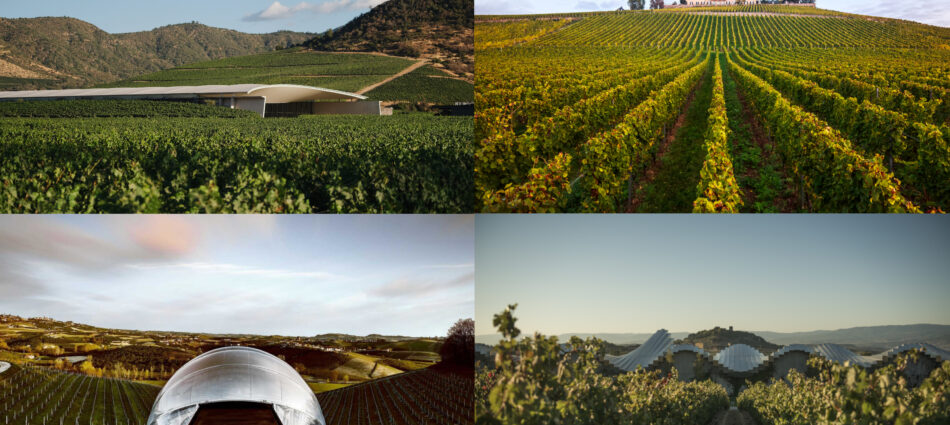 Vik, in Cile, è la “The World’s Best Vineyard”. Ceretto la migliore cantina italiana, al n. 19