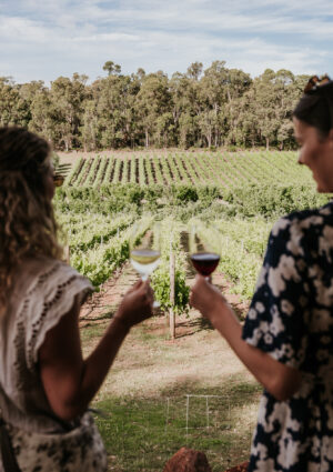 Anche l&rsquo;export del vino australiano &egrave; in calo: -8% in valore e -6% in volume nel 2025