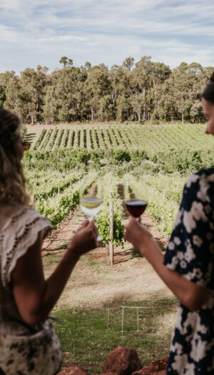 Anche l&rsquo;export del vino australiano &egrave; in calo: -8% in valore e -6% in volume nel 2025