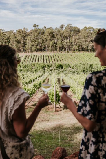 I vigneti australiani (ph: JCrispinPhoto/Light Foot Agency)