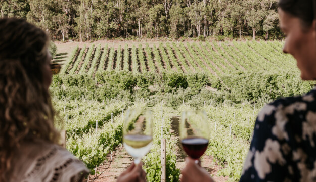 Anche l&rsquo;export del vino australiano &egrave; in calo: -8% in valore e -6% in volume nel 2025