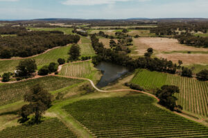 Australia, la vendemmia 2026 &egrave; la pi&ugrave; &ldquo;scarsa&rdquo; dal 2000. E il vino bianco superer&agrave; il rosso