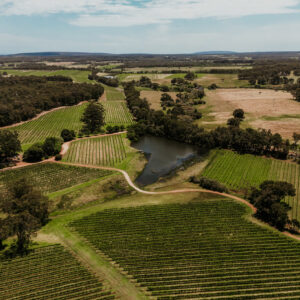 Australia, la vendemmia 2026 &egrave; la pi&ugrave; &ldquo;scarsa&rdquo; dal 2000. E il vino bianco superer&agrave; il rosso