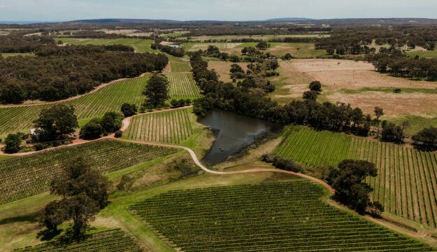 Australia, la vendemmia 2026 &egrave; la pi&ugrave; &ldquo;scarsa&rdquo; dal 2000. E il vino bianco superer&agrave; il rosso