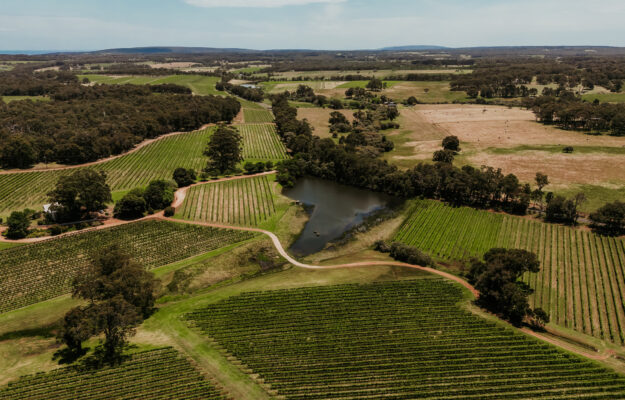 AUSTRALIA, EMISFERO SUD, VENDEMMIA 2026, VINI BIANCHI, VINI ROSSI, WINE AUSTRALIA, Mondo