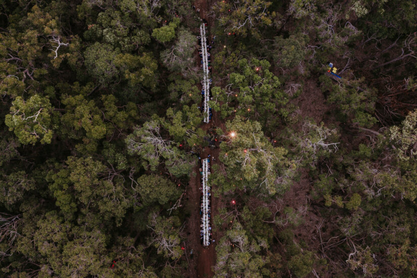 The World’s 50 Best Vineyards 2025, WineNews on tour nella Margaret Valley in Australia