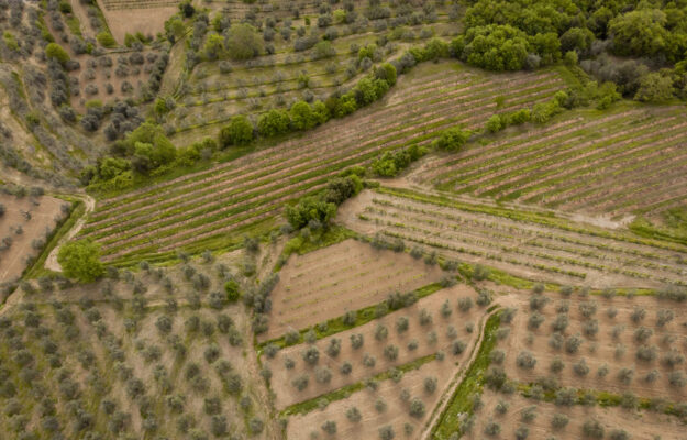 AGRICOLTURA UE, EUROSTAT, ITALIA, MANODOPERA, PIL, PREZZI, UE, VALORE AGGIUNTO, VALORE ALLA PRODUZIONE, Non Solo Vino