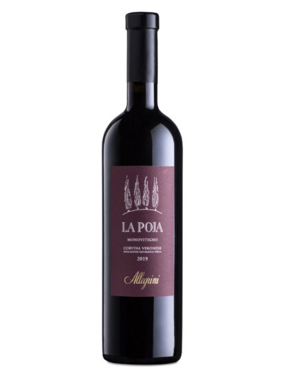 ALLEGRINI, CORVINA, VERONESE, Su i Vini di WineNews