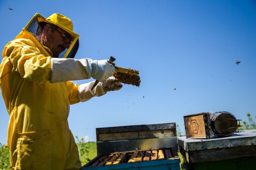 Le “Mielerie Aperte” di Unaapi - Unione Nazionale di Associazioni di Apicoltori Italiani in tutta Italia (credit: Luca Finocchio)