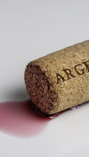 L’Argentina introduce nel proprio “Codice alimentare” i vini dealcolati e “no alcol”