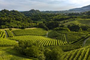 Asolo, tra i luoghi-simbolo del Prosecco, premiata come “Best Tourism Villages” dalle Nazioni Unite