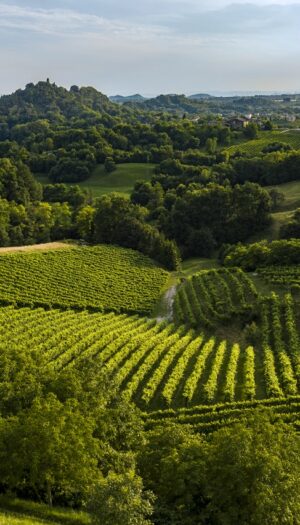 Asolo, tra i luoghi-simbolo del Prosecco, premiata come “Best Tourism Villages” dalle Nazioni Unite