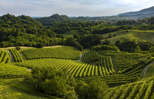 ASOLO PROSECCO DOCG, BEST TOURISM VILLAGES, CONSORZIO VINI ASOLO MONTELLO, NAZIONI UNITE, ONU, PROSECCO, SVILUPPO RURALE, TURISMO, TURISMO RURALE, Mondo