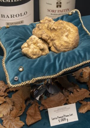 Oltre mezzo milione di euro raccolti all’Asta Mondiale del Tartufo Bianco d’Alba, edizione n. 26