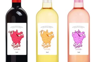 Bob Sinclar, uno dei dj più famosi del mondo, fa causa ad un produttore di vino della Provenza