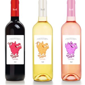 Bob Sinclar, uno dei dj più famosi del mondo, fa causa ad un produttore di vino della Provenza