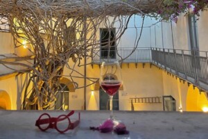 Il “Cipresso del Canova” a Padova e la Bouganvillea di Menfi, tra i nuovi “Alberi Monumentali”