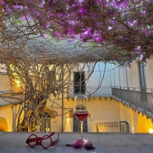 Il “Cipresso del Canova” a Padova e la Bouganvillea di Menfi, tra i nuovi “Alberi Monumentali”