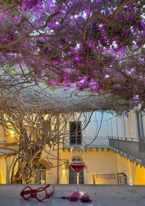 Il “Cipresso del Canova” a Padova e la Bouganvillea di Menfi, tra i nuovi “Alberi Monumentali”