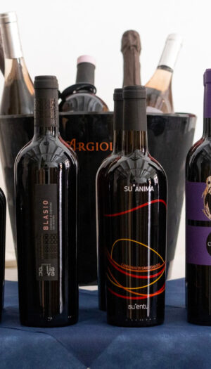 Il Cannonau, rosso “principe” di Sardegna, dalla lunga storia, va “a scuola dai giovani”