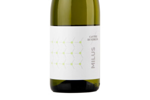 Cantine di Nessuno, Doc Etna Bianco Superiore Contrada Volpare Milus 2022