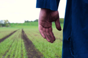 Sospetto caporalato in agricoltura tra Siena e Grosseto, convocato tavolo tra le due Prefetture