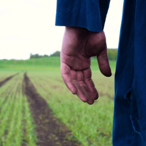 Sospetto caporalato in agricoltura tra Siena e Grosseto, convocato tavolo tra le due Prefetture