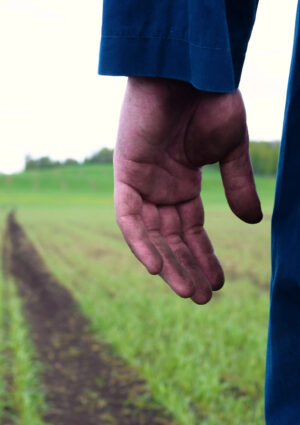 Sospetto caporalato in agricoltura tra Siena e Grosseto, convocato tavolo tra le due Prefetture