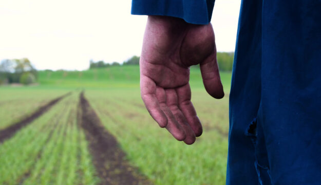 Sospetto caporalato in agricoltura tra Siena e Grosseto, convocato tavolo tra le due Prefetture