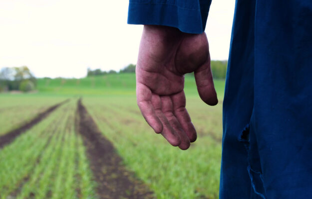 AGRICOLTURA, AZIENDE AGRICOLE, BRACCIANTI, CAPORALATO, Italia