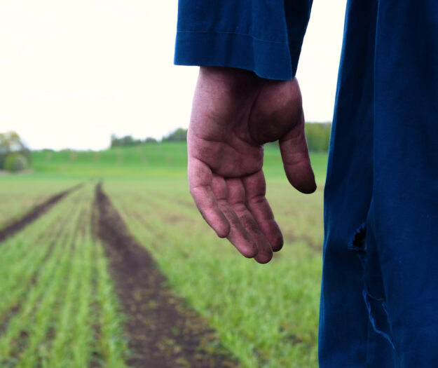 Sospetto caporalato in agricoltura tra Siena e Grosseto, convocato tavolo tra le due Prefetture