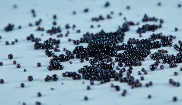 Acquacoltura italiana, un settore che produce 51.000 tonnellate di pesce e vale 300 milioni di euro