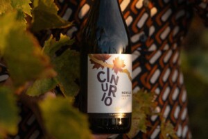 Il “Miglior Novello d’Italia” è made in Sud: il Cinurio dell’azienda calabrese Tramontana