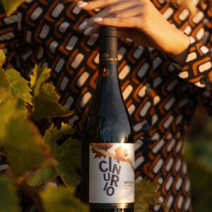 Il “Miglior Novello d’Italia” è made in Sud: il Cinurio dell’azienda calabrese Tramontana