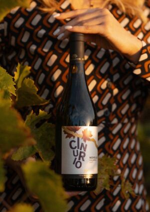 Il “Miglior Novello d’Italia” è made in Sud: il Cinurio dell’azienda calabrese Tramontana