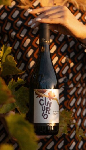 Il “Miglior Novello d’Italia” è made in Sud: il Cinurio dell’azienda calabrese Tramontana