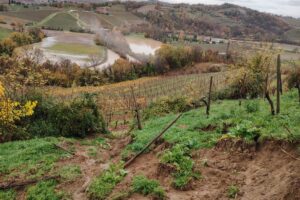 Il Collio del vino fa la conta degli effetti del maltempo, tra aziende bloccate e danni ai vigneti