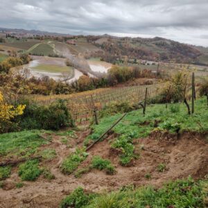 Il Collio del vino fa la conta degli effetti del maltempo, tra aziende bloccate e danni ai vigneti