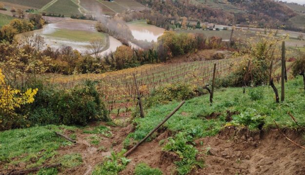 Il Collio del vino fa la conta degli effetti del maltempo, tra aziende bloccate e danni ai vigneti