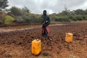 Crisi climatica e fame: 96 milioni di persone colpite nel mondo nel 2024 (+33% sul 2023)