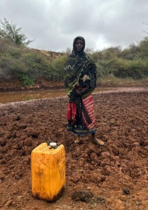 Crisi climatica e fame: 96 milioni di persone colpite nel mondo nel 2024 (+33% sul 2023)