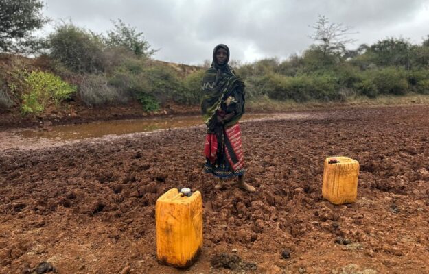 CAMBIAMENTO CLIMATICO, CESVI, CONSUMO DI SUOLO, CRISI CLIMATICA, EVENTI ESTREMI, FAME NEL MONDO, FAO, SICUREZZA ALIMENTARE, Non Solo Vino