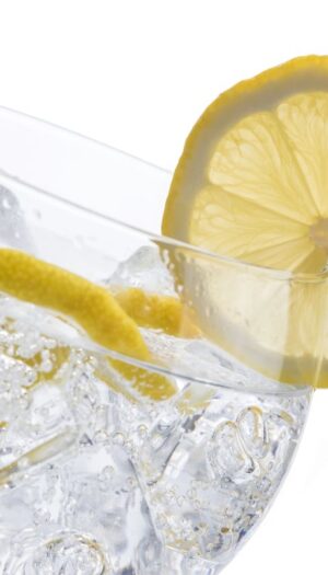 La Corte di Giustizia Europea: “una bevanda non alcolica non può essere venduta come gin”