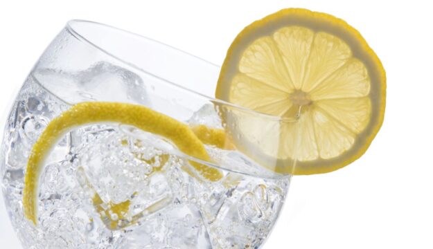 La Corte di Giustizia Europea: “una bevanda non alcolica non può essere venduta come gin”