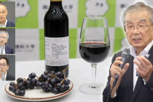 Giappone, dall’incontro tra un’uva selvatica e il Moscato di Alessandria nasce il “Muscat Shiragai”