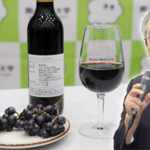 Giappone, dall’incontro tra un’uva selvatica e il Moscato di Alessandria nasce il “Muscat Shiragai”