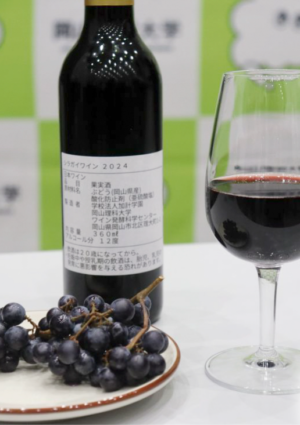 Giappone, dall’incontro tra un’uva selvatica e il Moscato di Alessandria nasce il “Muscat Shiragai”