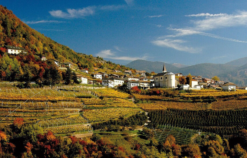 INVESTIMENTI, MERCATI, NUMERI, TRENTODOC, Su i Quaderni di WineNews